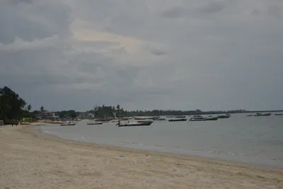 DSC_5409 (Large).JPG